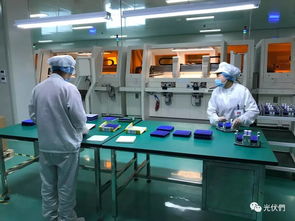 新技術浪潮來襲 1GW高效MWT組件工廠如何屹立潮頭？